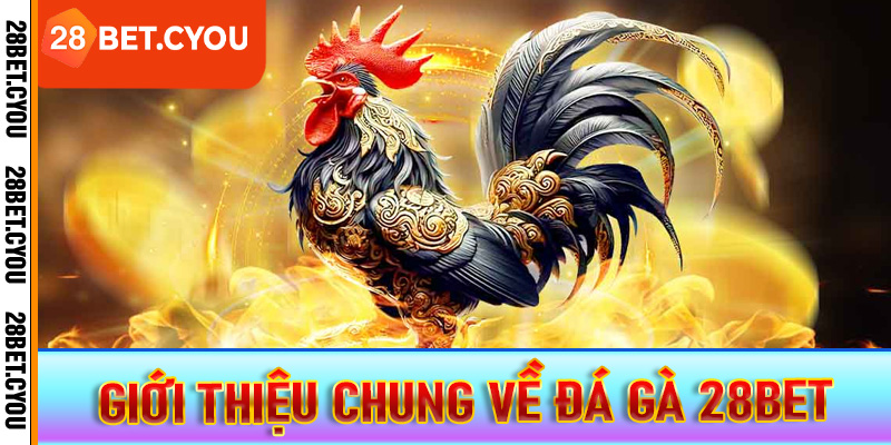Giới thiệu chung về đá gà 28BET