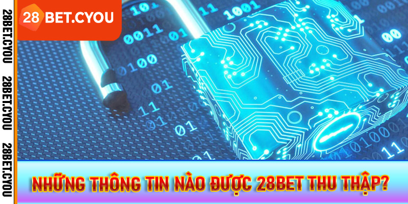 Những thông tin nào được 28BET thu thập?