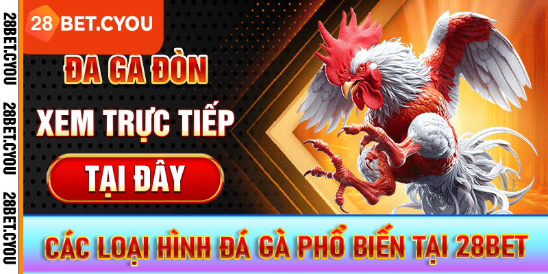 Các loại hình đá gà phổ biến tại 28BET