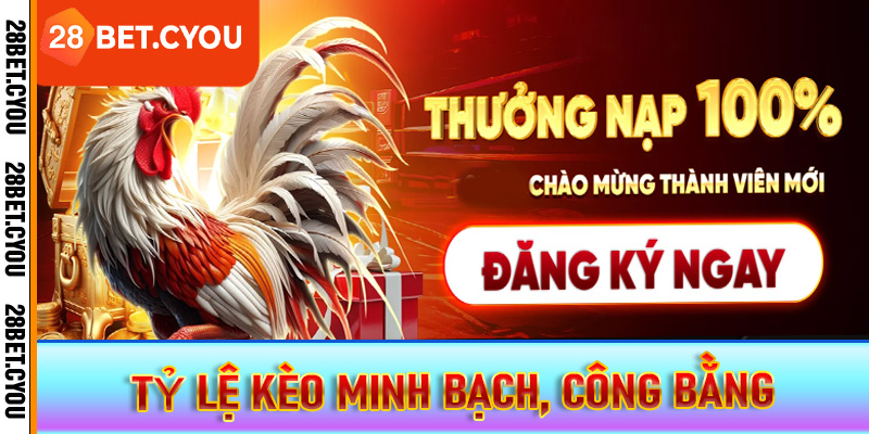 Tỷ lệ kèo minh bạch, công bằng