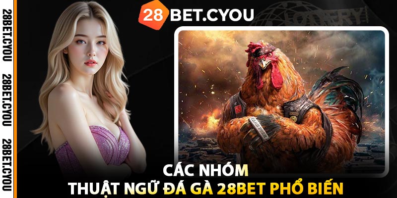 Các Nhóm Thuật Ngữ Đá Gà 28BET Phổ Biến