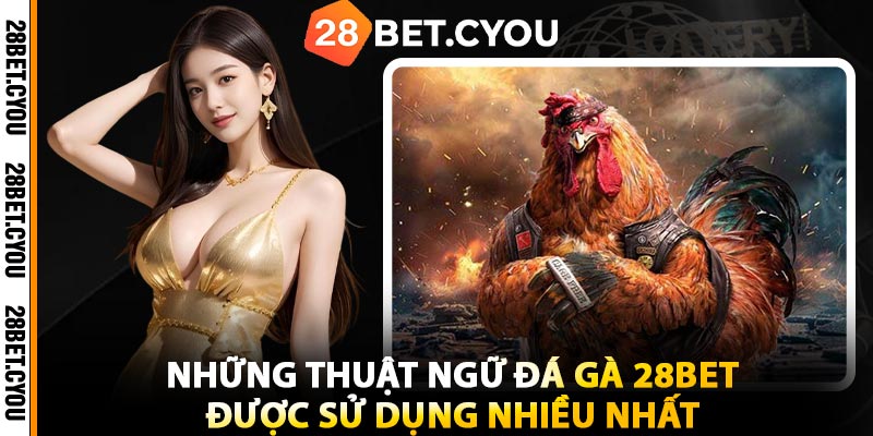 Những Thuật Ngữ Đá Gà 28BET Được Sử Dụng Nhiều Nhất