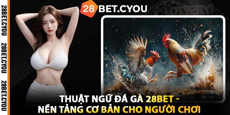 Thuật Ngữ Đá Gà 28BET - Nền Tảng Cơ Bản Cho Người Chơi